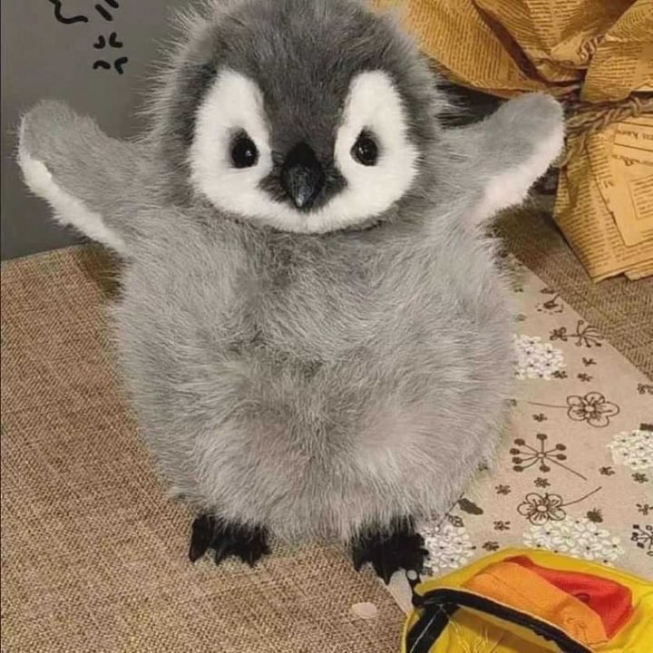 🐧 My Realistic Penguin(Simulation Dolls)